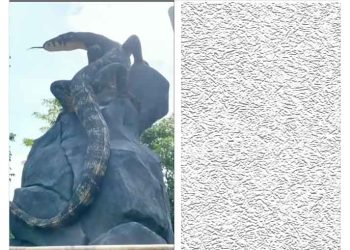 Kagum, Tugu Biawak Wonosobo Terlihat Seperti Asli