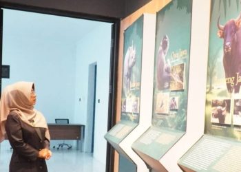 Potensi Wisata, Pandeglang Punya PIG Geopark Ujung Kulon