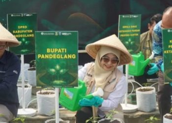Sukseskan Kedaulatan Pangan, Bupati Pandeglang Tanam Cabai Bersama Perwakilan Bank Indonesia Provinsi Banten