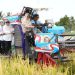 Bupati Pandeglang Hadiri Festival Panen Raya Di Carita, Tembok Ketahanan Pangan Nasional