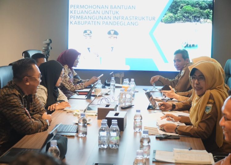 Bupati Dewi Setiani Datangi Bappenas, Usulkan Bantuan Program Pembangunan Infrastruktur
