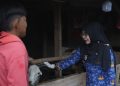 Jelang Idul Adha, Bupati Dewi Setiani Monitoring Lapak Hewan Kurban