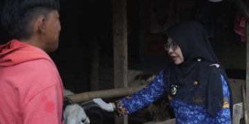 Jelang Idul Adha, Bupati Dewi Setiani Monitoring Lapak Hewan Kurban